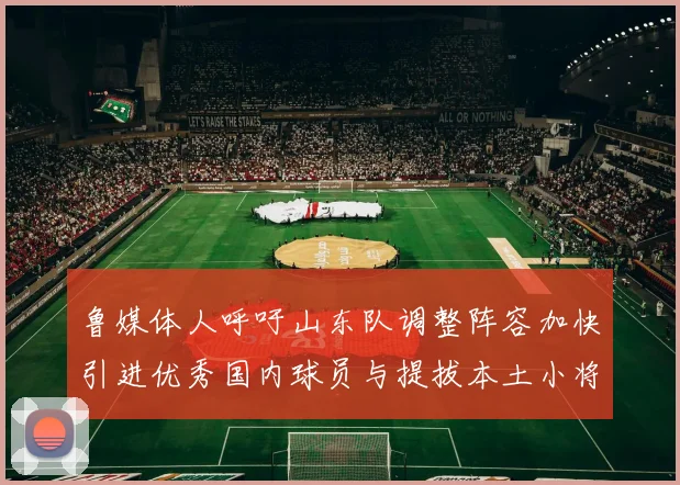 鲁媒体人呼吁山东队调整阵容加快引进优秀国内球员与提拔本土小将