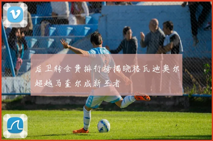 后卫转会费排行榜揭晓格瓦迪奥尔超越马奎尔成新王者
