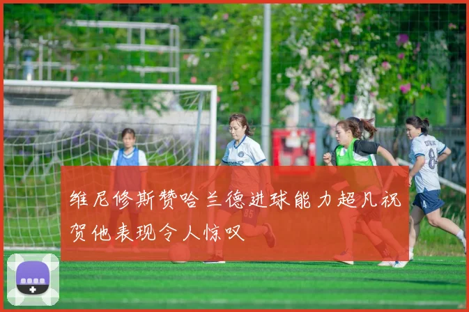 维尼修斯赞哈兰德进球能力超凡祝贺他表现令人惊叹